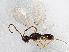  ( - BIOUG03456-E05)  @13 [ ] CreativeCommons - Attribution (2013) CBG Photography Group Centre for Biodiversity Genomics