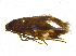  ( - BIOUG03581-C07)  @13 [ ] CreativeCommons - Attribution (2012) CBG Photography Group Centre for Biodiversity Genomics