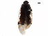  ( - BIOUG12127-G06)  @13 [ ] CreativeCommons - Attribution (2016) CBG Photography Group Centre for Biodiversity Genomics