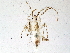  ( - BIOUG12269-F02)  @12 [ ] CreativeCommons - Attribution (2014) CBG Photography Group Centre for Biodiversity Genomics