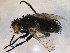  ( - BIOUG12847-A01)  @12 [ ] CreativeCommons - Attribution (2014) CBG Photography Group Centre for Biodiversity Genomics