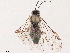  ( - BIOUG16993-E11)  @11 [ ] CreativeCommons - Attribution (2020) CBG Photography Group Centre for Biodiversity Genomics