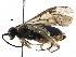  ( - BIOUG17363-C08)  @13 [ ] CreativeCommons - Attribution (2016) CBG Photography Group Centre for Biodiversity Genomics