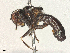  ( - BIOUG17420-F10)  @11 [ ] CreativeCommons - Attribution Share - Alike (2025) CBG Photography Group Centre for Biodiversity Genomics