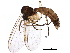  (Boletina palmata - BIOUG18595-A09)  @15 [ ] CreativeCommons - Attribution (2015) CBG Photography Group Centre for Biodiversity Genomics
