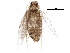  ( - BIOUG18712-C05)  @13 [ ] CreativeCommons - Attribution (2015) CBG Photography Group Centre for Biodiversity Genomics