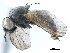  ( - BIOUG11422-E02)  @14 [ ] CreativeCommons - Attribution (2017) CBG Photography Group Centre for Biodiversity Genomics