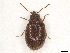  ( - BIOUG11433-H08)  @11 [ ] CreativeCommons - Attribution (2024) CBG Photography Group Centre for Biodiversity Genomics