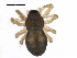  ( - BIOUG13772-C02)  @13 [ ] CreativeCommons - Attribution (2014) CBG Photography Group Centre for Biodiversity Genomics