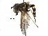  ( - BIOUG14343-H04)  @15 [ ] CreativeCommons - Attribution (2016) CBG Photography Group Centre for Biodiversity Genomics
