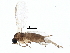  ( - BIOUG14347-E03)  @13 [ ] CreativeCommons - Attribution (2015) CBG Photography Group Centre for Biodiversity Genomics