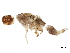  ( - CNCAD_0047)  @11 [ ] CreativeCommons - Attribution (2019) CBG Photography Group Centre for Biodiversity Genomics