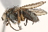  ( - BIOUG12217-E04)  @14 [ ] CreativeCommons - Attribution (2015) CBG Photography Group Centre for Biodiversity Genomics
