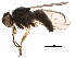  ( - BIOUG12360-B04)  @14 [ ] CreativeCommons - Attribution (2014) CBG Photography Group Centre for Biodiversity Genomics