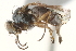  ( - BIOUG12634-E03)  @15 [ ] CreativeCommons - Attribution (2015) CBG Photography Group Centre for Biodiversity Genomics