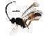  ( - BIOUG16985-H07)  @13 [ ] CreativeCommons - Attribution (2015) CBG Photography Group Centre for Biodiversity Genomics