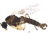  ( - BIOUG17104-G04)  @12 [ ] CreativeCommons - Attribution (2015) CBG Photography Group Centre for Biodiversity Genomics