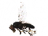  ( - BIOUG17405-E09)  @14 [ ] CreativeCommons - Attribution (2015) CBG Photography Group Centre for Biodiversity Genomics