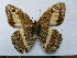  ( - SAT-Aul-1-1)  @11 [ ] Copyright  zfyang@uoguelph.ca Unspecified