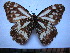  ( - SAT-Aul-5-2)  @11 [ ] Copyright  zfyang@uoguelph.ca Unspecified