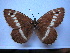  ( - SAT-Aul-7-1)  @11 [ ] Copyright  zfyang@uoguelph.ca Unspecified