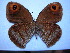  ( - SAT-Cal-1-2)  @13 [ ] Copyright  zfyang@uoguelph.ca Unspecified