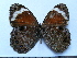  ( - SAT-Cho-1-1)  @13 [ ] Copyright  zfyang@uoguelph.ca Unspecified