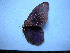  ( - SAT-Clt-1-1)  @11 [ ] Copyright  zfyang@uoguelph.ca Unspecified