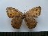  ( - SAT-Hyp-5-1)  @11 [ ] Copyright  zfyang@uoguelph.ca Unspecified