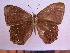  ( - SAT-Let-12-1)  @14 [ ] Copyright  zfyang@uoguelph.ca Unspecified