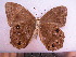  ( - SAT-Let-12-1)  @13 [ ] Copyright  zfyang@uoguelph.ca Unspecified