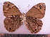  ( - SAT-Let-17-2)  @13 [ ] Copyright  zfyang@uoguelph.ca Unspecified