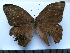  ( - SAT-Let-2-1)  @13 [ ] Copyright  zfyang@uoguelph.ca Unspecified