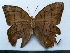  ( - SAT-Let-2-1)  @13 [ ] Copyright  zfyang@uoguelph.ca Unspecified