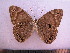  ( - SAT-Let-2-2)  @13 [ ] Copyright  zfyang@uoguelph.ca Unspecified