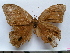  ( - SAT-Let-27-2)  @11 [ ] Copyright  zfyang@uoguelph.ca Unspecified