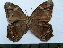  ( - SAT-Let-3-3)  @13 [ ] Copyright  zfyang@uoguelph.ca Unspecified