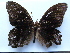  ( - SAT-Let-4-4)  @13 [ ] Copyright  zfyang@uoguelph.ca Unspecified