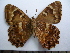  ( - SAT-Let-8-5)  @13 [ ] Copyright  zfyang@uoguelph.ca Unspecified
