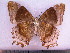 ( - SAT-Let-9-1)  @13 [ ] Copyright  zfyang@uoguelph.ca Unspecified