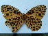  (Nosea - SAT-Nos-1-2)  @11 [ ] Copyright  zfyang@uoguelph.ca Unspecified