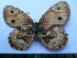  ( - SAT-Oen-1-1)  @11 [ ] Copyright  zfyang@uoguelph.ca Unspecified
