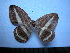  ( - SAT-Rag-1-2)  @11 [ ] Copyright  zfyang@uoguelph.ca Unspecified