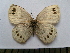  ( - SAT-Sin-1-4)  @11 [ ] Copyright  zfyang@uoguelph.ca Unspecified
