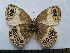  ( - SAT-Sin-1-4)  @11 [ ] Copyright  zfyang@uoguelph.ca Unspecified