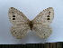  ( - SAT-Tri-1-1)  @11 [ ] Copyright  zfyang@uoguelph.ca Unspecified