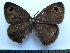  ( - SAT-Ypt-6-1)  @11 [ ] Copyright  zfyang@uoguelph.ca Unspecified