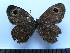  ( - SAT-Ypt-7-1)  @13 [ ] Copyright  zfyang@uoguelph.ca Unspecified