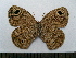  ( - SAT-Ypt-8-1)  @13 [ ] Copyright  zfyang@uoguelph.ca Unspecified