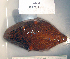  ( - OGL-E01747)  @11 [ ] No Rights Reserved (2009) Unspecified Coastal Marine Biolabs